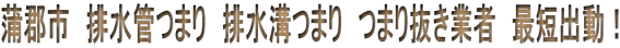 Ss@rǂ܂@ra܂@܂蔲Ǝҁ@ŒZoI