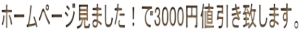 �z�[���y�[�W���܂����I��3000�~�l�����v���܂��B