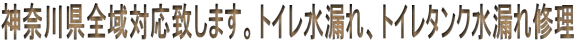 _ސ쌧SΉv܂BgCRAgC^NRC