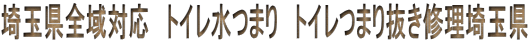ʌSΉ@gC܂@gC܂蔲Cʌ